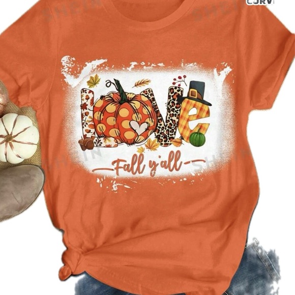 Fall LOVE Tshirt - Picture 1 of 1